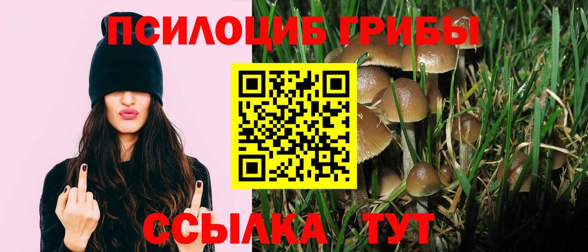 Галлюциногенные грибы прущие грибы Зерноград