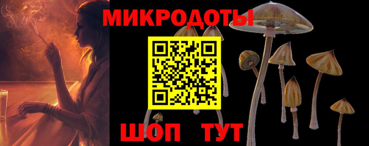 Псилоцибиновые грибы MAGIC MUSHROOMS  Вход с VPN  сколько стоит  Зерноград 